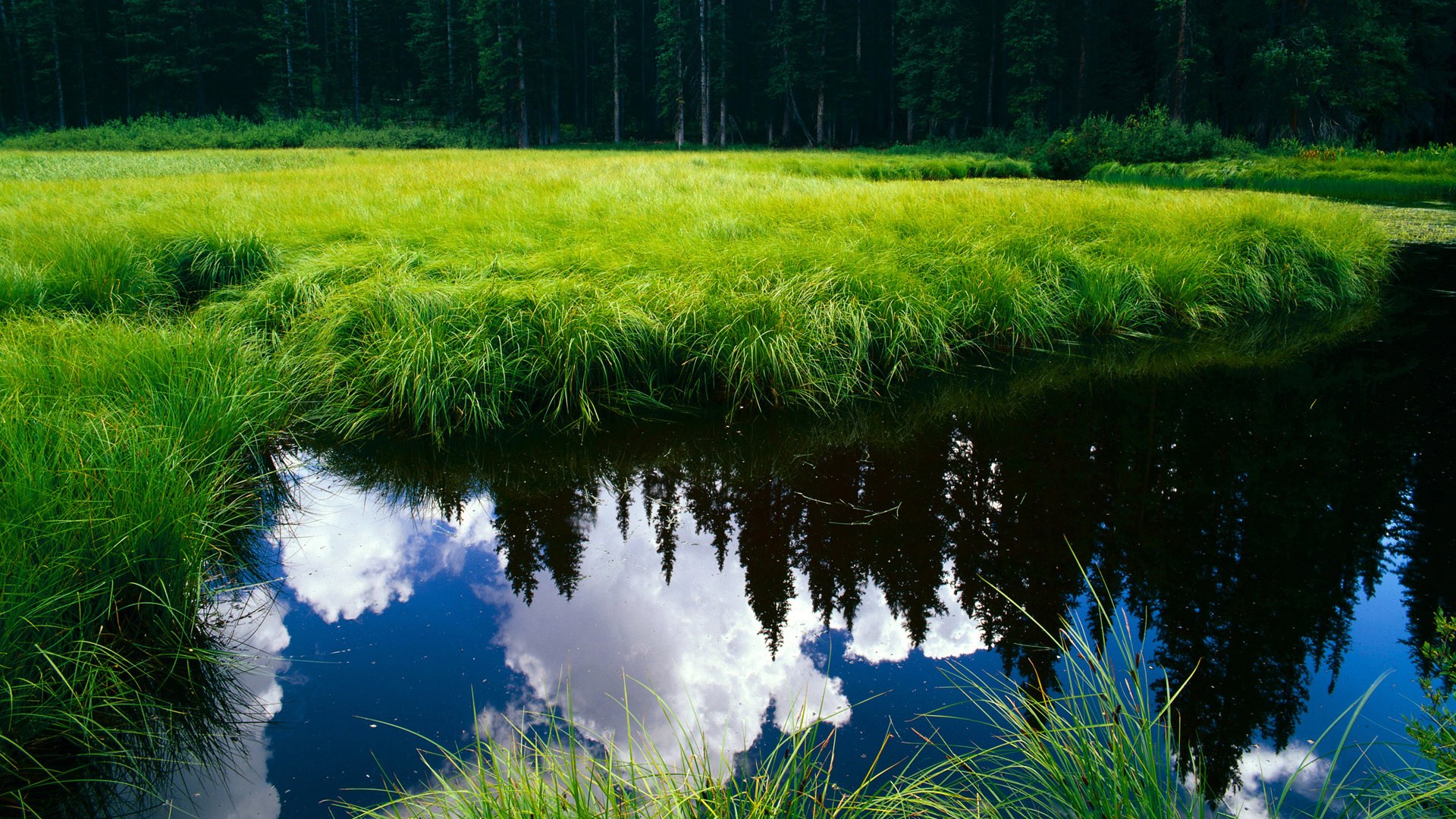 爱游戏官方网站-运动装备生产工艺改进，运动装备的作用